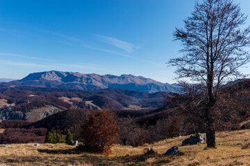 autumn in the mountains