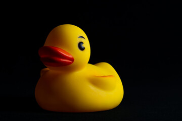 Yellow Rubber Duck