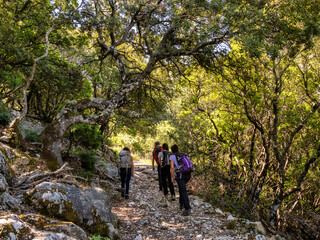 Gruppo di Escursionisti nel monte albo , Sardegna