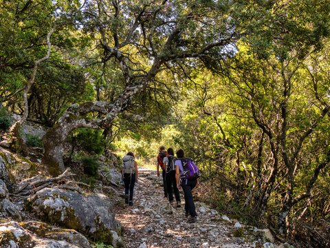 Gruppo di Escursionisti nel monte albo , Sardegna