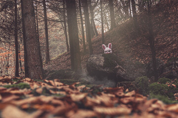 Spooky scenery with a creepy bunny in a forest looking straight into camera. Halloween theme