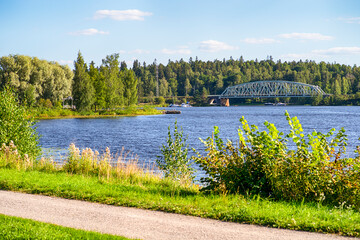 lake and forest