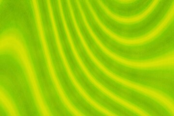 green color of abstract background