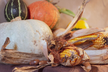 Autumn thanksgiving fruit and vegetable arrangement with pumpkins and sweet corn