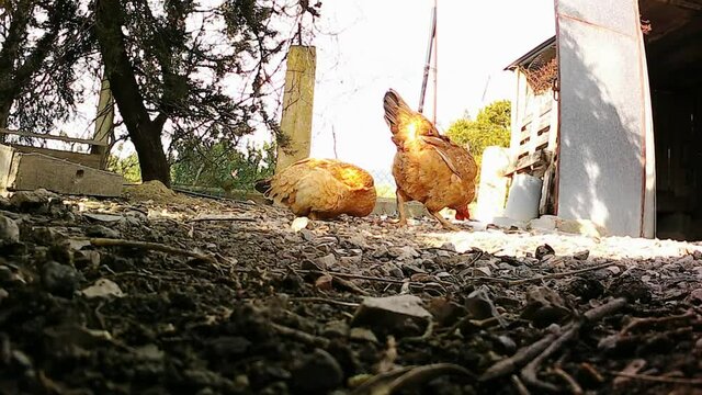 ambiente rural