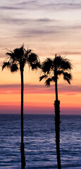 Fototapeta na wymiar Beach and Palms Cloudy Sunset