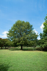 Freedom Park, Little Sugar Creek Greenway Trail, Charlotte, NC