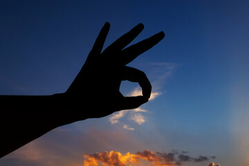 Fototapeta na wymiar Silhouette of hand gesture