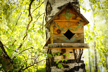 Birdhouse or bird house on green spring birch tree forest background. Natural wooden birdhouse handmade painted, sunny spring day. Food birdhouse forest scene. Animal life care, welcome home theme