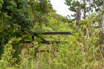Fototapeta premium Wooden gate of abandoned rural property in the middle of nature