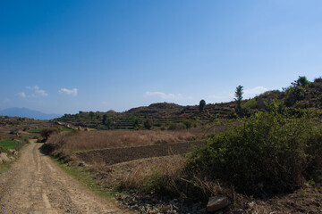 mountain valley road and green step fields in himachal pradesh, India