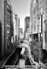 Fototapeta premium Futuristic Tokyo scene with reflections on water canal and skyscraper facade in Neo Shibuya
