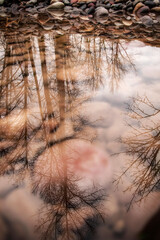 Obraz premium reflection in the water