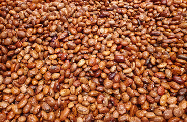 many brown beans on the market