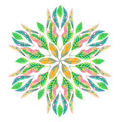 Mandala pattern of Croton leaf watercolor painting illustration and clippingpath © Arunee