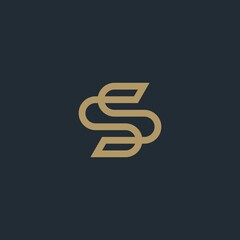 Abstract Elegant Ornament Logo Design. SS letter
