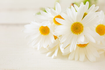Fototapeta na wymiar daisies on a wooden background