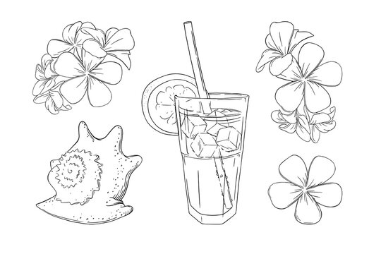 Cocktail, flowers and seashell set. Sea vacation with cocktails set isolated in white background. Outline vector illustration