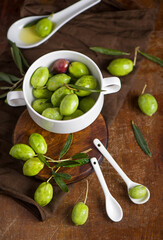 Olive oil and olive branch on black background