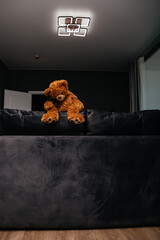 sad teddy bear sitting on the back of the sofa