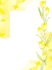 チューリップの水彩フレーム背景