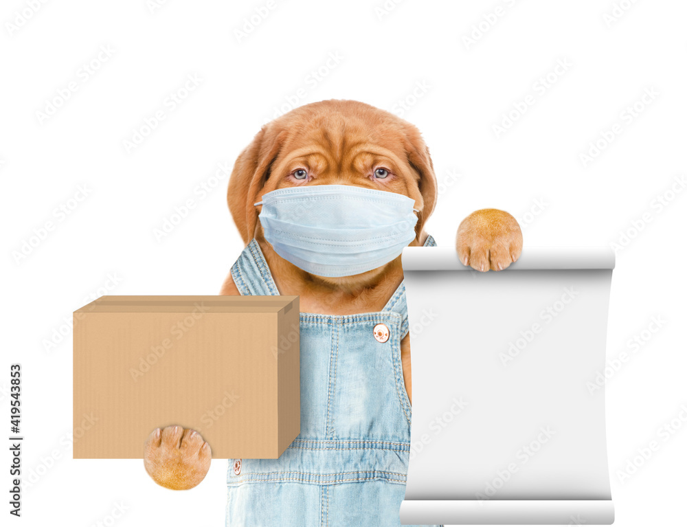 Poster puppy wearing medical protective mask and overalls holds carton box and empty list. isolated on whit