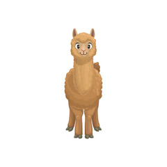 Guanaco Lama guanicoe native to South America, related to llama. Vector flat cartoon llama animal portrait with brown furry wool. Farming livestock mammal, domesticated alpaca, Vicugna pacos