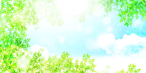 新緑　葉　春　背景  © J BOY