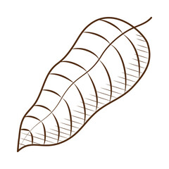 cocoa leaf icon