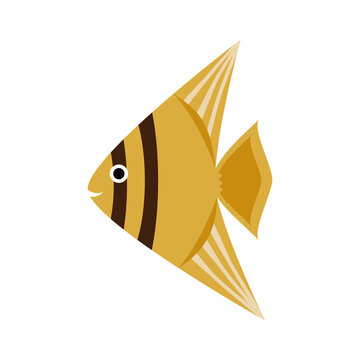307 Best エンゼルフィッシュ Images Stock Photos Vectors Adobe Stock 307 Best エンゼルフィッシュ Images Stock Photos Vectors Adobe Stock