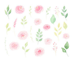 Watercolor hand-painted pink loose roses and greenery set isolated on white background. Spring, summer floral set for wedding invitations, cards, frames,   designs. 
