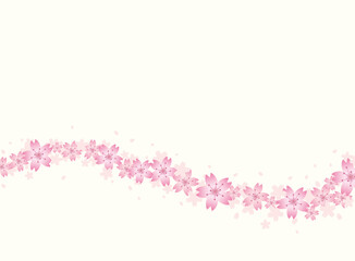 Sakura cherry blossom one line flower and petal background