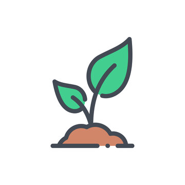 green sprout growing from brown soil clip art preview