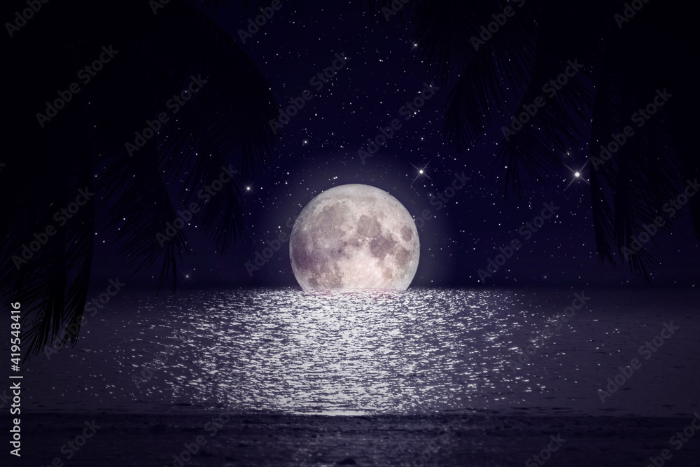 Wall mural seascape and palm tree at night at full moon in sky the moon original source from nasa