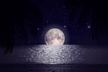 seascape and palm tree at night at full moon in sky The moon Original source from Nasa