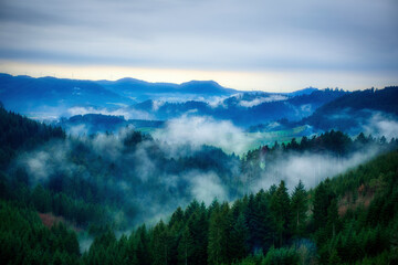 Obraz premium fog in the mountains