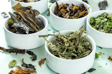 Sea vegetables variety on a blue background, healthy vegan snacks