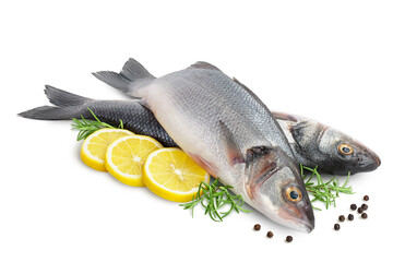 Sea bass fich isolated on white background with clipping path and full depth of field.
