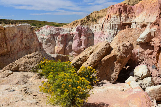 yellow wildflowers are the fantastically colored and eroded hoodoos of the paint mines interpretive park on a sunny day near calhan, in el paso county, colorado 