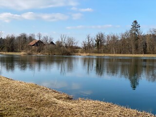 Flach lake or Flachsee in the natural protection zone Aargau Reuss river plain (Naturschutzzone...