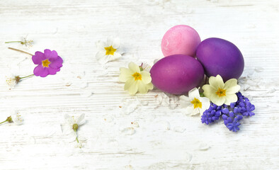 Obraz na płótnie Canvas easter eggs painted in pink and purple on a table among spring flowers and petals