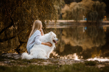 beautiful woman in white shirt is sitting on the shore of the lake with her white dog samoyed on sunset in a autumn day.