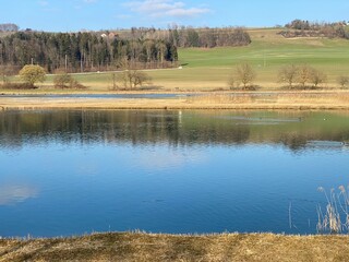Flach lake or Flachsee in the natural protection zone Aargau Reuss river plain (Naturschutzzone...