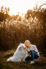 beautiful  woman in white shirt is playing with her white dog samoyed outdoors in the park on the grass.