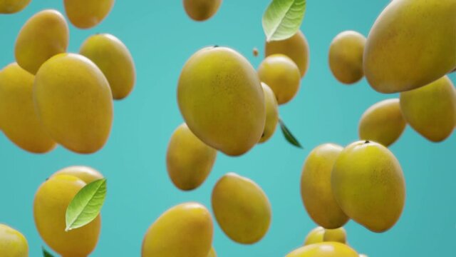 Slow-motion juicy fresh mangoes falling down seamless endless loop backdrop mango background