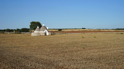 Trullo whitewashed stone hut with conical roof on countryside field, famous in Apulia region,...