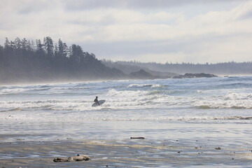 Waves