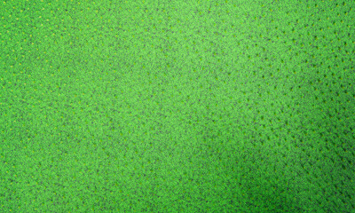 Top view The lawn has morning sunshine shining from the left. The bright green grass is long and short. 3D Rendering