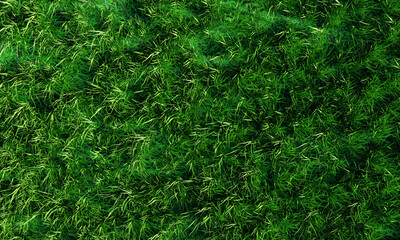 Top view The lawn has morning sunshine shining from the left. The bright green grass is long and short. 3D Rendering