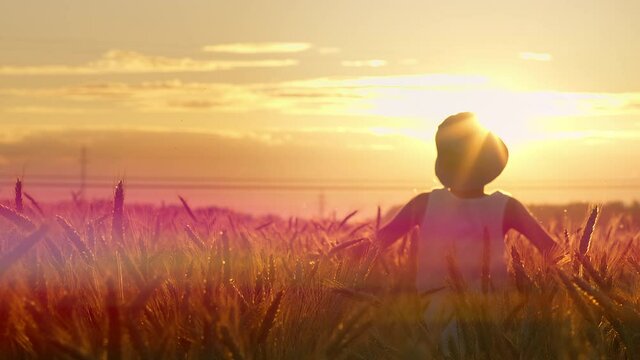 boy in a hat runs on a golden wheat field at sunset, against a beautiful sky
